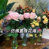 滇味料理•二刷🌷