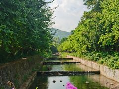 -广州白江湖森林公园