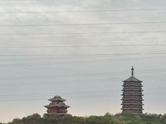 -永定河休闲森林公园