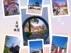 -无锡梅园公园