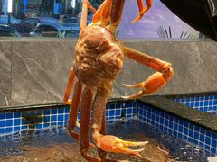 -东海怡品海鲜豆捞(舟宿夜江店)