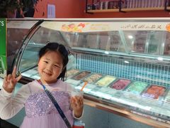 -iceason爱茜茜里·意大利健康冰淇淋(骑龙巷店)