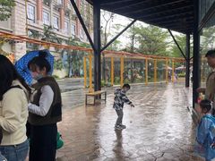 -灵玲国际马戏城