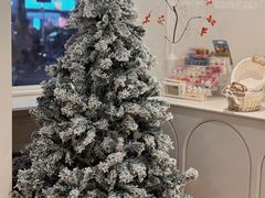 -追光 Dream Bakery(汉街店)
