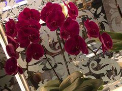-北京王府井希尔顿酒店·秦唐中餐厅Chynna