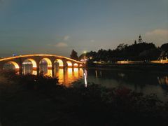 -万绿园