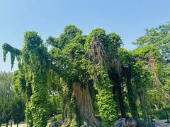 -石家庄市植物园