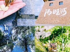 -汤旺河林海奇石景区