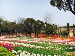 -大宁灵石公园西门票处