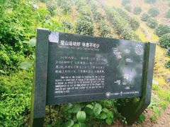 -西湖风景区十里琅珰-五云山