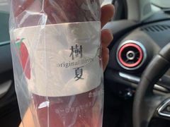 -树夏(建设路店)