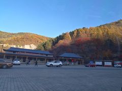 -龙道沟景区