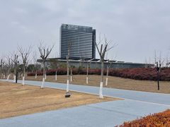 -春花秋色城市公园