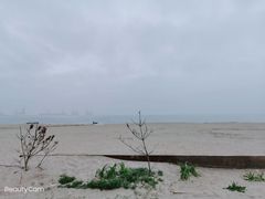 -老龙头景区