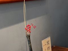 -觀芷隐轩
