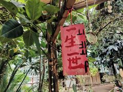 -呀路古热带植物园