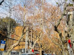 -老洋房花园饭店(绍兴路店)