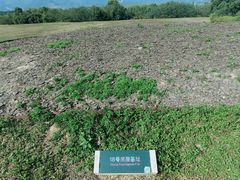 -良渚古城遗址公园