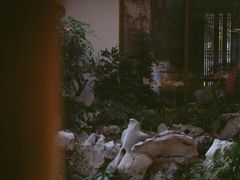 -鲤院·新中式美学·庭院餐厅(夫子庙店)