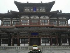 -西安乐游原
