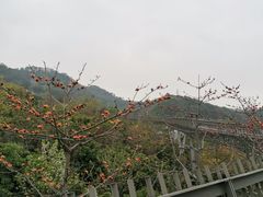 -福道