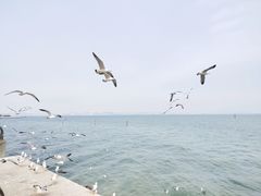 -东港音乐喷泉广场