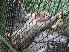 -藏龙百瀑风景区