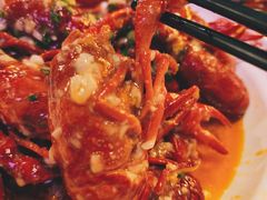 -霸王虾·麻辣小龙虾(清水河公园店)