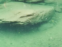 -白云源风景区