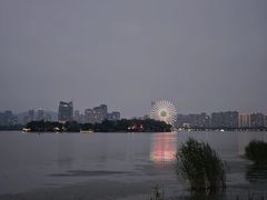 -长广溪湿地公园