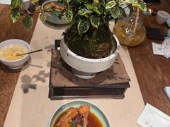 -青藤茶馆(凤起路店)