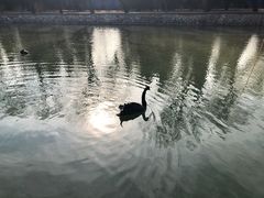 -颐和园