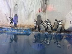 -太平洋海底世界