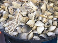 -顺德哥卜卜贝(旗舰店)