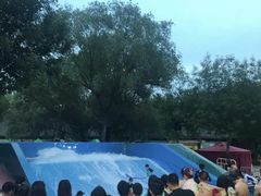 -欢乐水魔方水世界