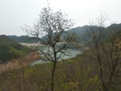 -黑河国家森林公园