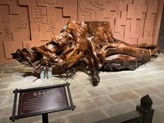 -乐山乌木文化博览苑