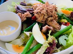 金枪鱼-Wagas沃歌斯(大学路店)