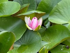 -洛阳市隋唐城遗址植物园