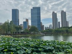 -后襄河公园