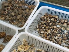 水产区-海岛渔村大酒店(云霄路店)