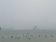 -海驴岛(荣成市)