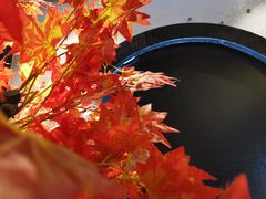 -先机®·泉水鸡汤(七星岗店)