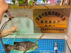 -春天里餐厅(西田城店)
