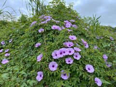 -东山湖温泉度假村