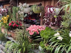 -龙姐私房菜(和顺古镇店)