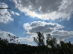 -上海大学(宝山校区)