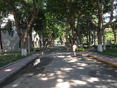 -西安交通大学(雁塔校区)