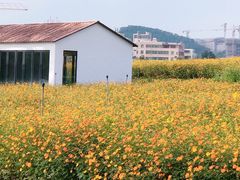 -光明小镇欢乐田园