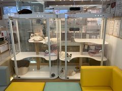 -翊宠yipet猫狗购宠庄园犬舍•猫舍